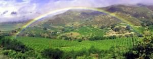 Mindful moment on rainbow in Ojai CA