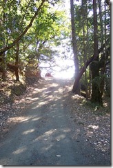 lone road in Boulder creek